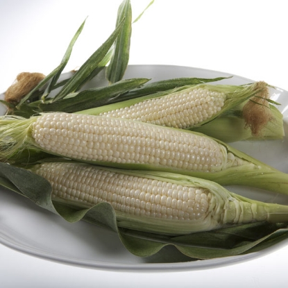 Picture of Sweet Corn Amaize F1